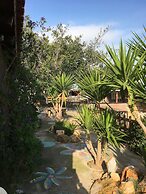 Arion Stables & Apartments