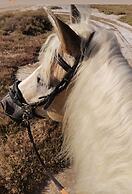 Arion Stables & Apartments