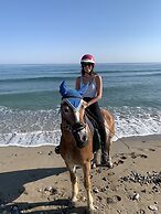 Arion Stables & Apartments