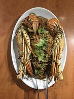 Arion Stables & Apartments