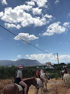 Arion Stables & Apartments