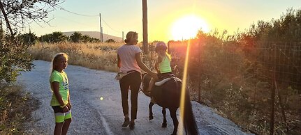 Arion Stables & Apartments