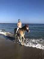 Arion Stables & Apartments