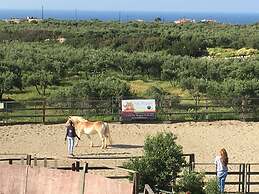 Arion Stables & Apartments