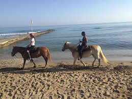 Arion Stables & Apartments