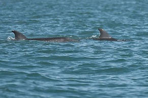 Boca Chica Bay Eco Lodge