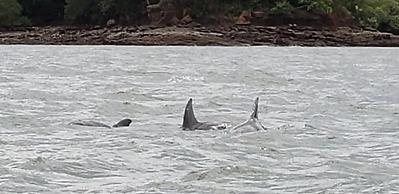 Boca Chica Bay Eco Lodge
