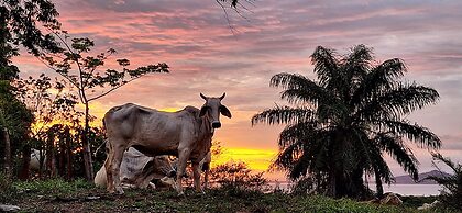 Boca Chica Bay Eco Lodge