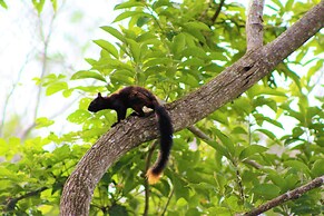 Boca Chica Bay Eco Lodge