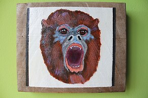 Boca Chica Bay Eco Lodge