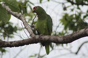 Boca Chica Bay Eco Lodge