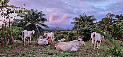 Boca Chica Bay Eco Lodge