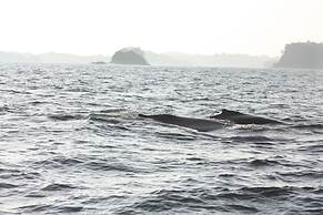 Boca Chica Bay Eco Lodge