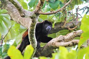 Boca Chica Bay Eco Lodge