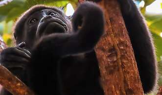 Boca Chica Bay Eco Lodge