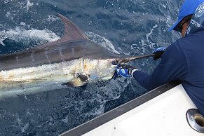 Boca Chica Bay Eco Lodge
