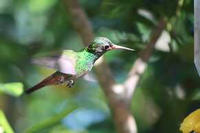 Boca Chica Bay Eco Lodge