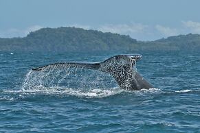 Boca Chica Bay Eco Lodge