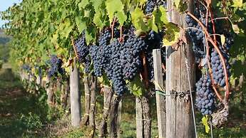 Antica Grancia di Quercecchio