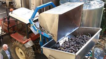 Antica Grancia di Quercecchio