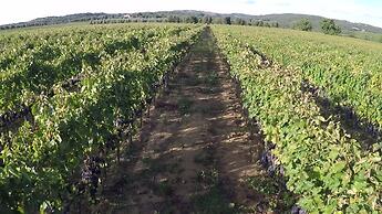 Antica Grancia di Quercecchio