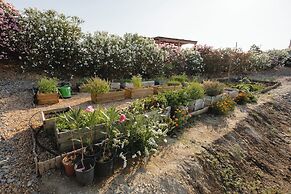 Monte Vale Organic Farm