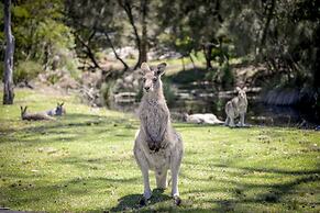 Ingenia Holidays Merry Beach