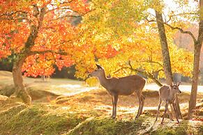 SEKAI HOTEL Fuse - Hostel