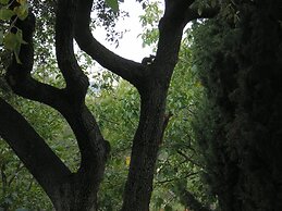 Domaine du Paradis des Oiseaux