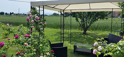 Bed and Breakfast Le Rose