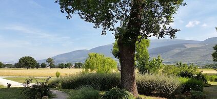 Bed and Breakfast Le Rose