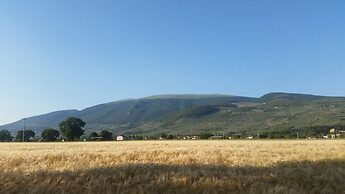 Bed and Breakfast Le Rose