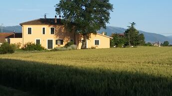 Bed and Breakfast Le Rose