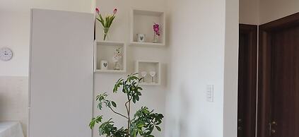 Bed and Breakfast Le Rose