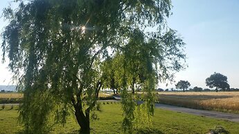 Bed and Breakfast Le Rose