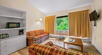 Evergreen Valley Inn by Coolvacay