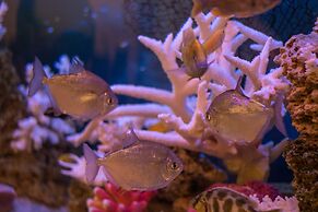 Guest house Volkov-Sky