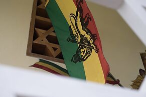 The Lion House Jamaica
