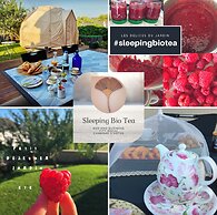 Sleeping Bio Tea - B&B