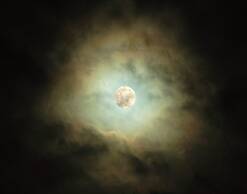 Sirena Vineyard Resort