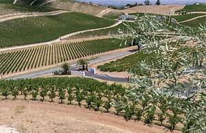 Sirena Vineyard Resort