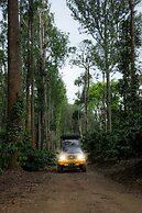 Ama Plantation Trails , Coorg