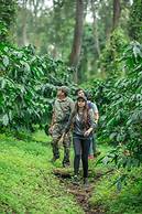 Ama Plantation Trails , Coorg