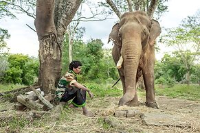 Ama Plantation Trails , Coorg