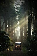 Ama Plantation Trails , Coorg