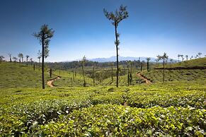 Ama Plantation Trails , Coorg
