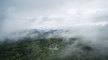 Ama Plantation Trails , Coorg