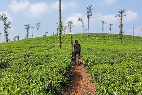 Ama Plantation Trails , Coorg