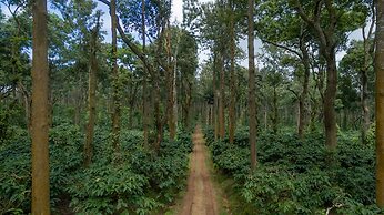 Ama Plantation Trails , Coorg