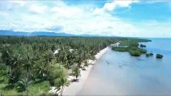 Chilly Beach Resort Palawan